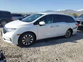 2024 Honda Odyssey EX-L z VIN 5FNRL6H65RB049073, wystawiony jako Copart lot #54200195 z przebiegiem 8 080 mil mil oraz Szkoda całkowita • Salvage title. Historia ofert i sprzedaży dostępna na DreamBid. Obrazek 1.