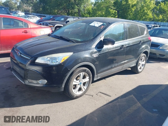 2013 Ford Escape SE with VIN 1FMCU9GX5DUB79784, listed as a IAAI auction lot 42733276 with 110,961 mi miles and . Bid and sale history available at DreamBid. Image 2.