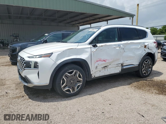 2023 Hyundai Santa Fe Limited with VIN 5NMS4DAL2PH517081, listed as a Copart auction lot 54197505 with 53,584 mi miles and Salvage Title. Bid and sale history available at DreamBid. Image 1.