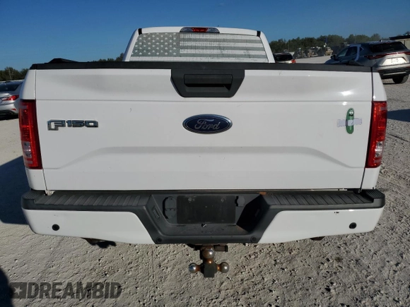 2016 Ford F-150 XL with VIN 1FTMF1CP8GKF02008, listed as a Copart auction lot 82968324 with 69,840 mi miles and Salvage Title. Bid and sale history available at carsss.com. Image 6.