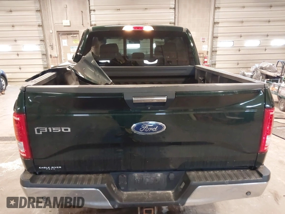 2015 Ford F-150 XLT with VIN 1FTEW1EP1FFB23876, listed as a IAAI auction lot 42049616 with 175,655 mi miles. Bid and sale history available at carsss.com. Image 16.