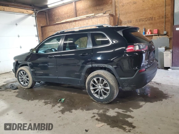 2021 Jeep Cherokee Latitude Lux with VIN 1C4PJMMX2MD205117, listed as a Copart auction lot 56460135 with 42,014 mi miles and Salvage title. Bid and sale history available at DreamBid. Image 2.