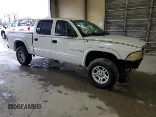 2002 Dodge Dakota SLT with VIN 1B7HG48N32S502224, listed as a Copart auction lot 44033265 with 261,381 mi miles and Salvage Title. Bid and sale history available at carsss.com. Image 4.