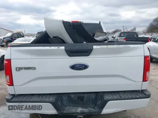 2017 Ford F-150 XL with VIN 1FTEW1EF5HKC04641, listed as a IAAI auction lot 41304620 with 156,064 mi miles. Bid and sale history available at carsss.com. Image 17.
