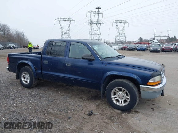 2003 Dodge Dakota SLT with VIN 1D7HL48X23S261258, listed as a IAAI auction lot 41362485 with 143,397 mi miles. Bid and sale history available at carsss.com. Image 6.