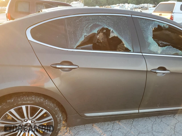2014 Kia Cadenza Premium with VIN KNALN4D72E5124243, listed as a Copart auction lot 65836794 with 0 mi miles and Non Repairable. Bid and sale history available at carsss.com. Image 10.