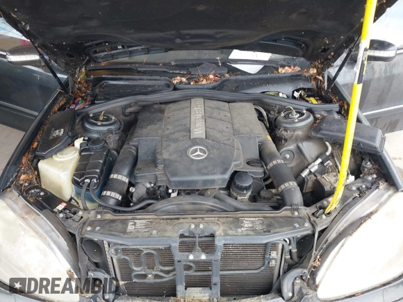 2004 Mercedes-Benz S 430 with VIN WDBNG70J74A398048, listed as a IAAI auction lot 42289665 with 182,954 mi miles and . Bid and sale history available at DreamBid. Image 10.