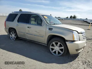 2011 Cadillac Escalade Premium with VIN 1GYS4CEF5BR138427, listed as a Copart auction lot 53430845 with Not provided miles and Salvage title. Bid and sale history available at DreamBid. Image 4.