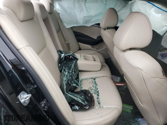 2018 Nissan Maxima SL with VIN 1N4AA6AP0JC405751, listed as a Copart auction lot 65366244 with Not provided miles and Salvage title. Bid and sale history available at DreamBid. Image 10.