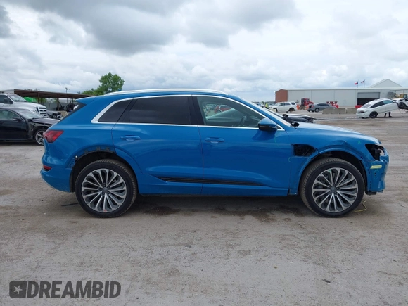 2019 Audi e-tron Prestige with VIN WA1VAAGE7KB005479, listed as a IAAI auction lot 42368177 with 30,736 mi miles and . Bid and sale history available at DreamBid. Image 13.