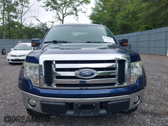 2010 Ford F-150 XL with VIN 1FTFX1EV6AFB54842, listed as a IAAI auction lot 42441003 with 183,415 mi miles and . Bid and sale history available at DreamBid. Image 12.
