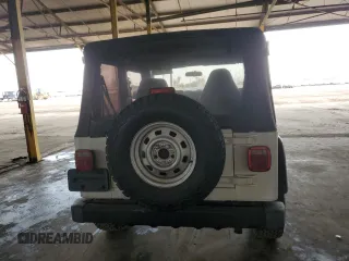 2002 Jeep Wrangler SE with VIN 1J4FA29P12P700276, listed as a Copart auction lot 45109175 with 115,139 mi miles and Salvage Title. Bid and sale history available at DreamBid. Image 6.