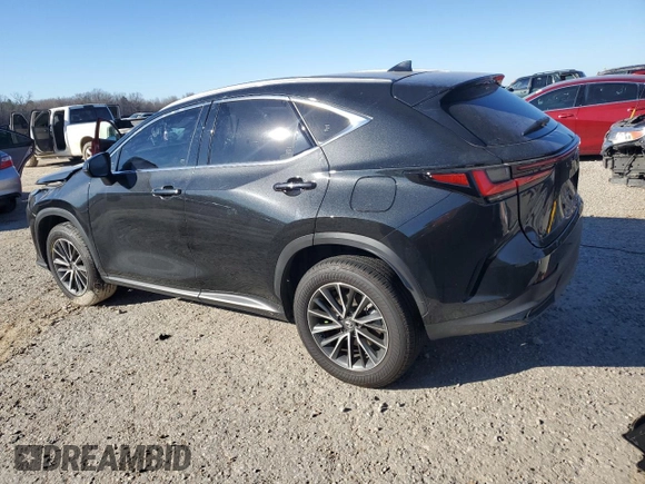 2024 Lexus NX 350h with VIN JTJAKCEZ0R2038950, listed as a Copart auction lot 88680835 with 11,390 mi miles and Salvage title. Bid and sale history available at DreamBid. Image 2.