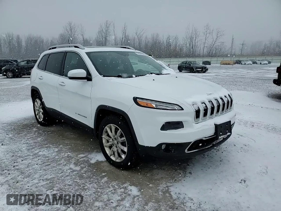2016 Jeep Cherokee Limited with VIN 1C4PJMDS3GW328244, listed as a Copart auction lot 52096305 with 63,010 mi miles and Salvage title. Bid and sale history available at DreamBid. Image 14.