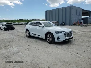 2019 Audi e-tron Prestige with VIN WA1VAAGE0KB013133, listed as a Copart auction lot 57060255 with 50,222 mi miles and Salvage title. Bid and sale history available at DreamBid. Image 13.