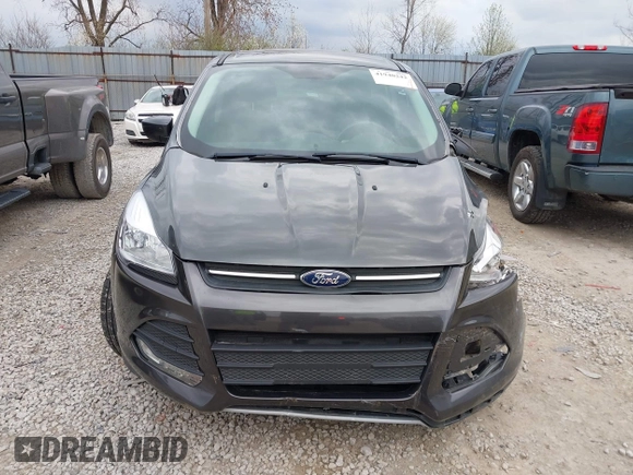 2016 Ford Escape SE with VIN 1FMCU9GX8GUB21396, listed as a IAAI auction lot 41940242 with 123,943 mi miles. Bid and sale history available at carsss.com. Image 13.
