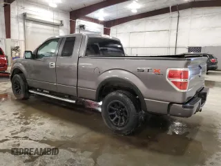 2013 Ford F-150 XL with VIN 1FTEX1EM6DFD11213, listed as a Copart auction lot 61350245 with 197,696 mi miles and Salvage title. Bid and sale history available at DreamBid. Image 2.