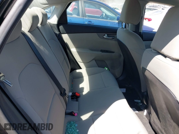2019 Kia Forte LXS with VIN 3KPF24AD6KE067063, listed as a IAAI auction lot 41877273 with 68,442 mi miles. Bid and sale history available at carsss.com. Image 8.