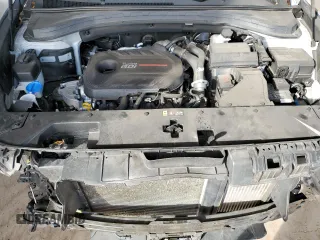 2020 Hyundai Santa Fe SEL with VIN 5NMS3CAA2LH245556, listed as a Copart auction lot 43567925 with 44,670 mi miles and Salvage Title. Bid and sale history available at carsss.com. Image 12.