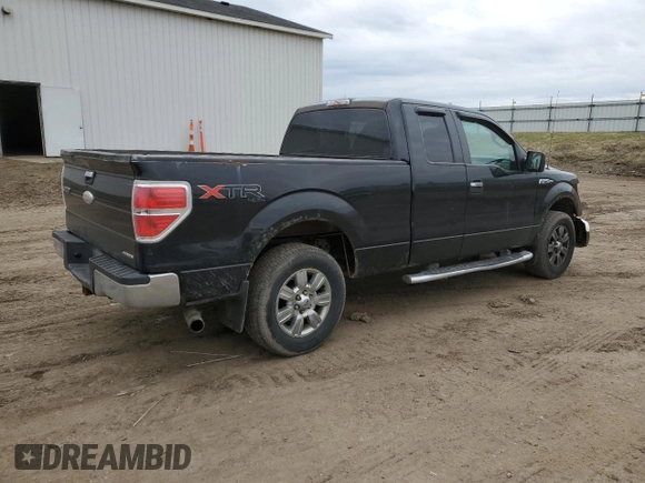 2011 Ford F-150 XL with VIN 1FTFX1EF5BFA97625, listed as a Copart auction lot 50976075 with 180,115 mi miles and Clean Title. Bid and sale history available at carsss.com. Image 3.