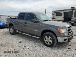 2013 Ford F-150 XL with VIN 1FTFW1ET4DKF81269, listed as a Copart auction lot 55813125 with 158,729 mi miles and Salvage title. Bid and sale history available at DreamBid. Image 4.