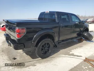 2013 Ford F-150 XL with VIN 1FTFW1EF8DFA69131, listed as a Copart auction lot 48292535 with 194,204 mi miles and Salvage Title. Bid and sale history available at carsss.com. Image 3.