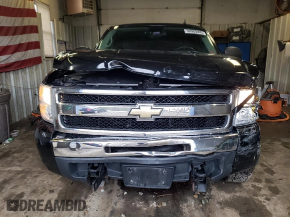 2009 Chevrolet Silverado 1500 LT with VIN 1GCEK29099Z297597, listed as a Copart auction lot 50965095 with 175,640 mi miles and Salvage Title. Bid and sale history available at DreamBid. Image 5.