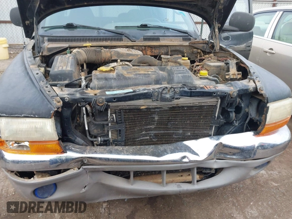 2000 Dodge Dakota Sport with VIN 1B7GL2AX4YS607628, listed as a IAAI auction lot 41115728 with Not provided miles and . Bid and sale history available at DreamBid. Image 10.