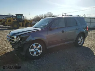 2010 Ford Escape Limited with VIN 1FMCU9EG1AKA42013, listed as a Copart auction lot 49525565 with 137,313 mi miles and Salvage Title. Bid and sale history available at carsss.com. Image 1.