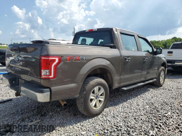 2017 Ford F-150 XL with VIN 1FTEW1EP4HFC49443, listed as a Copart auction lot 61945485 with 108,560 mi miles and Salvage title. Bid and sale history available at DreamBid. Image 3.