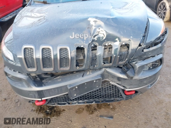 2017 Jeep Cherokee Trailhawk with VIN 1C4PJMBS4HW647852, listed as a IAAI auction lot 41192324 with 116,429 mi miles and . Bid and sale history available at DreamBid. Image 6.