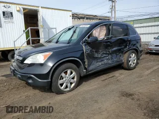 2009 Honda CR-V EX-L with VIN 5J6RE48789L006488, listed as a Copart auction lot 51273555 with 252,948 mi miles and Salvage Title. Bid and sale history available at carsss.com. Image 1.