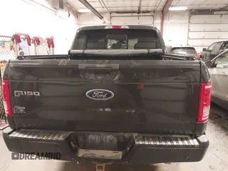 2017 Ford F-150 XL with VIN 1FTEW1EP3HKD25225, listed as a IAAI auction lot 41506022 with 106,071 mi miles. Bid and sale history available at carsss.com. Image 16.
