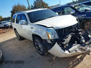 2013 Cadillac Escalade Premium with VIN 1GYS4CEF4DR159529, listed as a IAAI auction lot 41363154 with 204,993 mi miles. Bid and sale history available at carsss.com. Image 1.