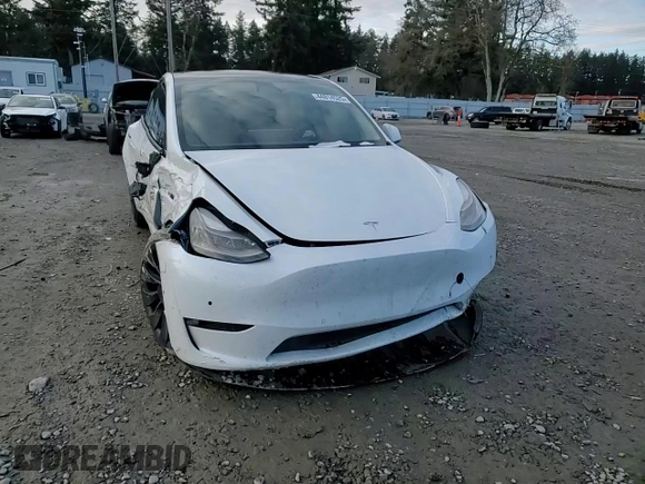 2022 Tesla Model Y Performance with VIN 7SAYGDEF2NF325084, listed as a Copart auction lot 44814525 with Not Provided miles and Salvage Title. Bid and sale history available at DreamBid. Image 12.