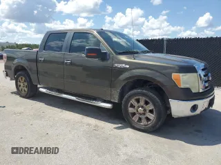 2009 Ford F-150 XL with VIN 1FTRW12889FB01747, listed as a Copart auction lot 62402315 with 332,253 mi miles and Clean title. Bid and sale history available at DreamBid. Image 4.