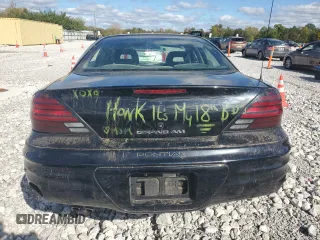 1999 Pontiac Grand Am SE2 with VIN 1G2NE52E2XM732523, listed as a Copart auction lot 75420684 with 124,110 mi miles and Salvage title. Bid and sale history available at DreamBid. Image 6.