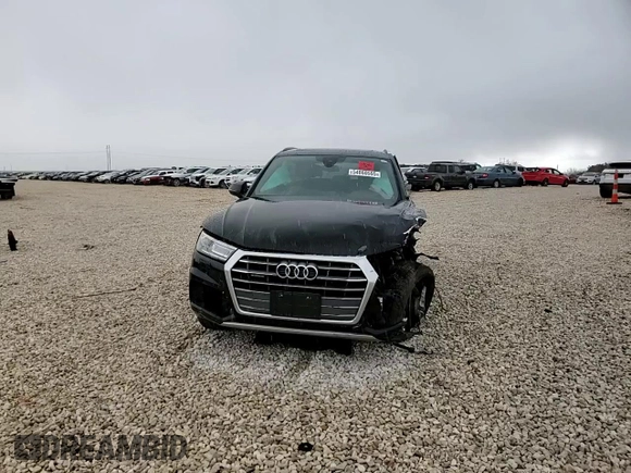 2019 Audi Q5 Premium with VIN WA1ANAFY9K2016496, listed as a Copart auction lot 54860595 with Not provided miles and Clean title. Bid and sale history available at DreamBid. Image 13.