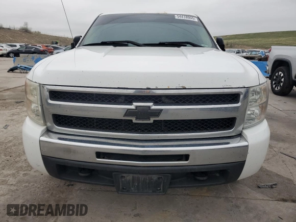 2009 Chevrolet Silverado 1500 LT with VIN 1GCEK29039Z249044, listed as a Copart auction lot 54418955 with 184,534 mi miles and Salvage Title. Bid and sale history available at DreamBid. Image 5.