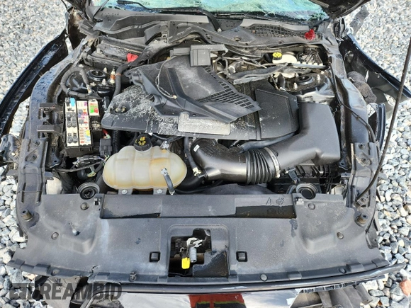 2020 Ford Mustang GT with VIN 1FA6P8CF4L5136343, listed as a Copart auction lot 62449465 with Not provided miles and Non repairable. Bid and sale history available at DreamBid. Image 11.