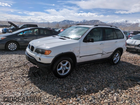2002 BMW X5 3.0i with VIN 5UXFA53552LP32958, listed as a Copart auction lot 48725735 with 293,202 mi miles and Salvage Title. Bid and sale history available at carsss.com. Image 1.