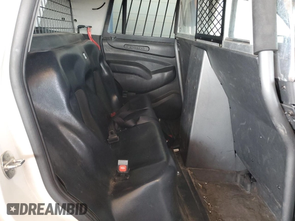 2015 Chevrolet Tahoe Commercial with VIN 1GNSK3EC6FR584004, listed as a Copart auction lot 53166265 with Not provided miles and Salvage title. Bid and sale history available at DreamBid. Image 10.