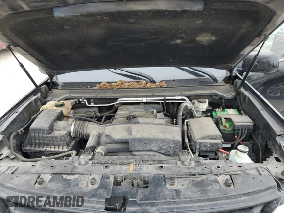 2018 Chevrolet Colorado 2WD LT with VIN 1GCGSCEA9J1212287, listed as a Copart auction lot 84537064 with 116,852 mi miles and Salvage Title. Bid and sale history available at DreamBid. Image 11.