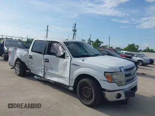 2013 Ford F-150 XL z VIN 1FTEW1CM3DKD88294, wystawiony jako IAAI lot #42673377 z przebiegiem 301 840 mil mil oraz . Historia ofert i sprzedaży dostępna na DreamBid. Obrazek 1.