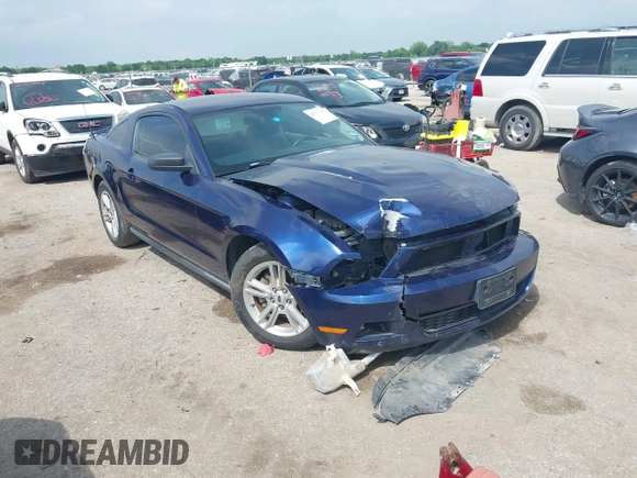 2010 Ford Mustang V6 with VIN 1ZVBP8AN9A5140305, listed as a IAAI auction lot 42171784 with 218,434 mi miles and . Bid and sale history available at DreamBid. Image 1.
