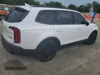 2021 Kia Telluride SX with VIN 5XYP5DHC1MG125563, listed as a Copart auction lot 61372995 with 83,358 mi miles and Salvage title. Bid and sale history available at DreamBid. Image 3.