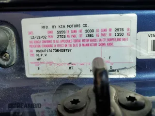 2003 Kia Sedona LX with VIN KNDUP131736409797, listed as a Copart auction lot 46902855 with 142,091 mi miles and Salvage Title. Bid and sale history available at carsss.com. Image 16.
