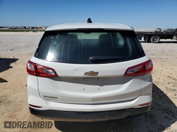 2019 Chevrolet Equinox LS with VIN 3GNAXHEV8KS659787, listed as a Copart auction lot 49732995 with 87,834 mi miles and Clean Title. Bid and sale history available at DreamBid. Image 6.