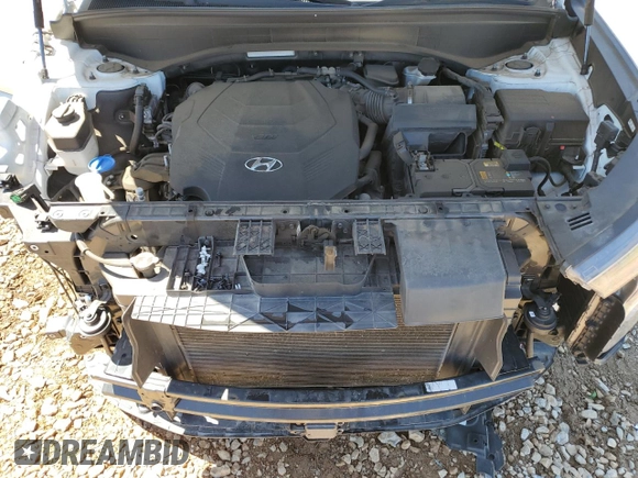 2020 Hyundai Palisade SEL with VIN KM8R34HE4LU110211, listed as a Copart auction lot 58011805 with 64,216 mi miles and Salvage title. Bid and sale history available at DreamBid. Image 11.