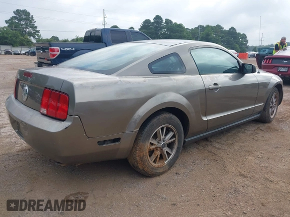 2005 Ford Mustang Deluxe with VIN 1ZVFT80N255121745, listed as a IAAI auction lot 42540069 with Not provided miles and . Bid and sale history available at DreamBid. Image 4.